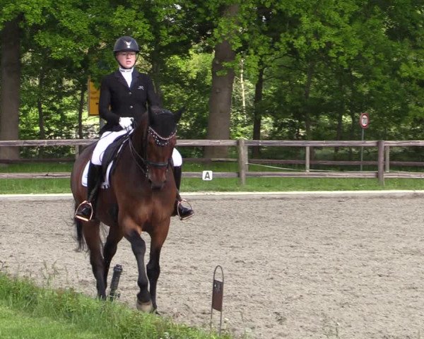 Reitturnier Schwanewede 2021