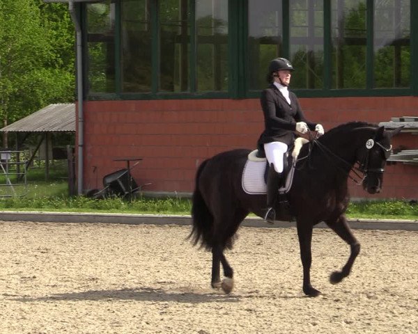 Reitturnier Schwanewede 2021