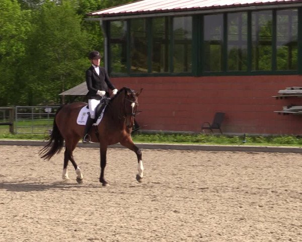 Reitturnier Schwanewede 2021