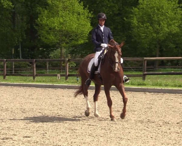 Reitturnier Schwanewede 2021