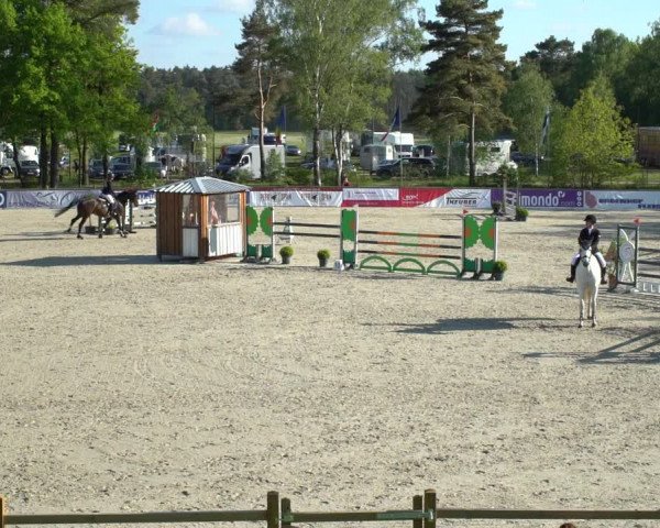 Reitturnier Westergellersen 2021