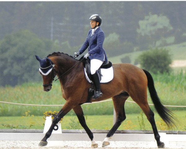 horse Samba Blue (Württemberger,  , from Samba Hit III)