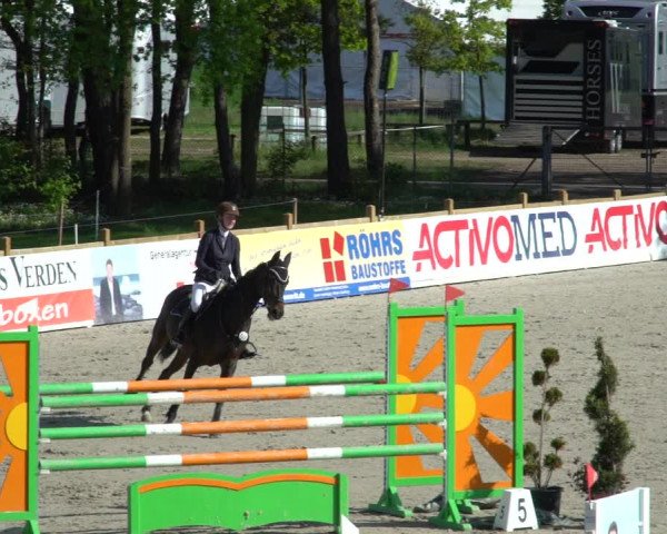 Reitturnier Westergellersen 2021