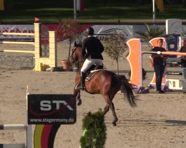 Reitturnier Westergellersen 2021