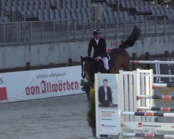 Reitturnier Westergellersen 2021