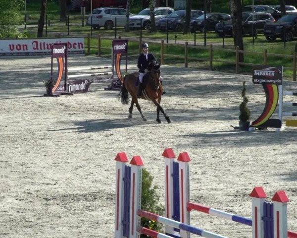Reitturnier Westergellersen 2021