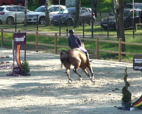 Reitturnier Westergellersen 2021