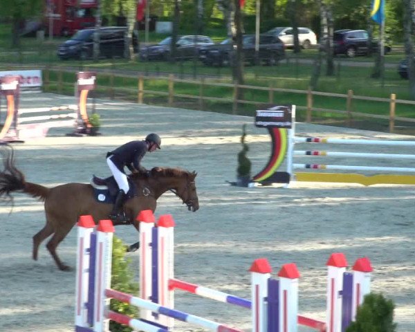 Reitturnier Westergellersen 2021