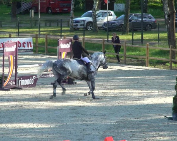 Reitturnier Westergellersen 2021
