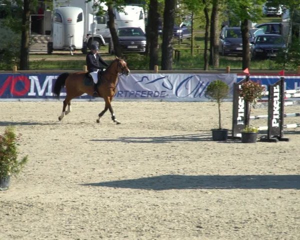 Reitturnier Westergellersen 2021