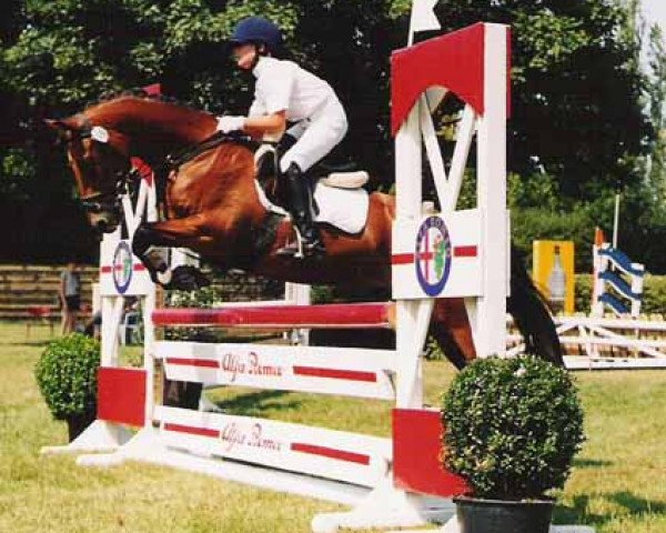 dressage horse Equus Charly Brown (Welsh-Pony (Section B), 1991, from Tetworth Crimson Lake)