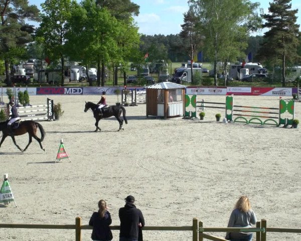 Reitturnier Westergellersen 2021