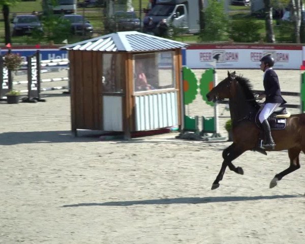 Reitturnier Westergellersen 2021