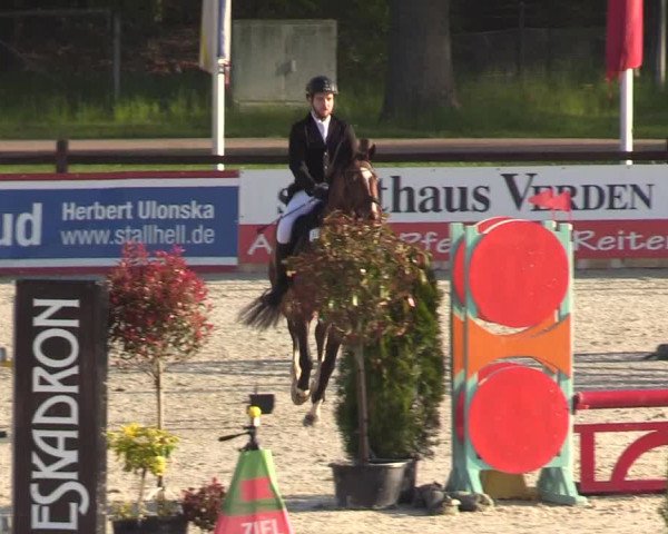 Reitturnier Westergellersen 2021