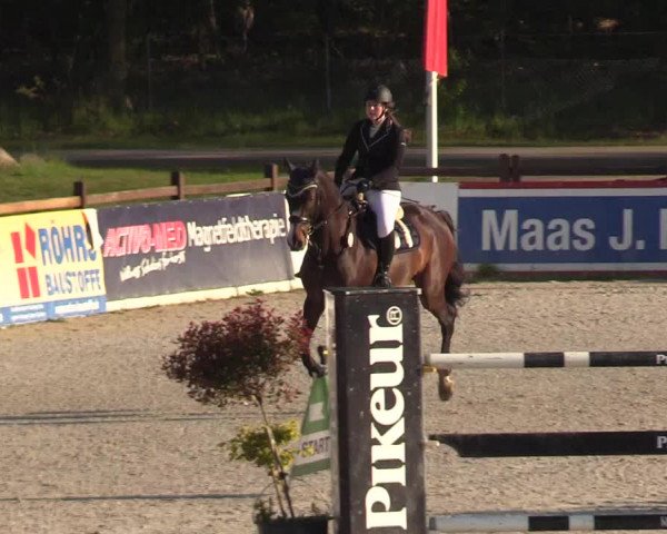 Reitturnier Westergellersen 2021