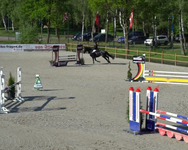 Reitturnier Westergellersen 2021