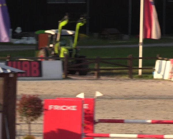 Reitturnier Westergellersen 2021