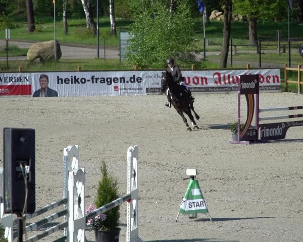 Reitturnier Westergellersen 2021