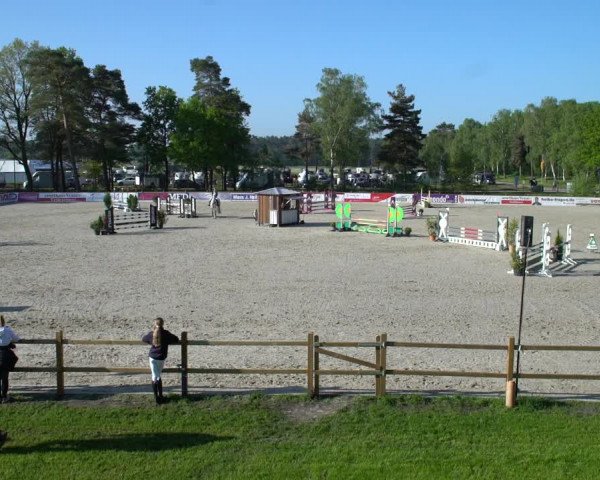 Reitturnier Westergellersen 2021