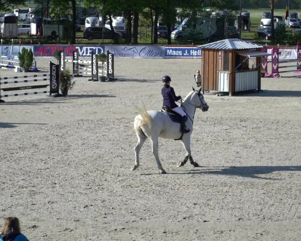 Reitturnier Westergellersen 2021