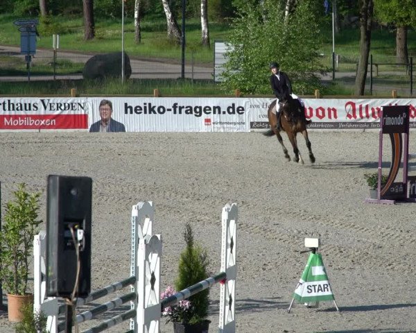 Reitturnier Westergellersen 2021