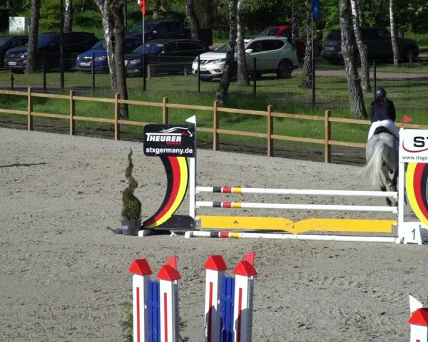 Reitturnier Westergellersen 2021