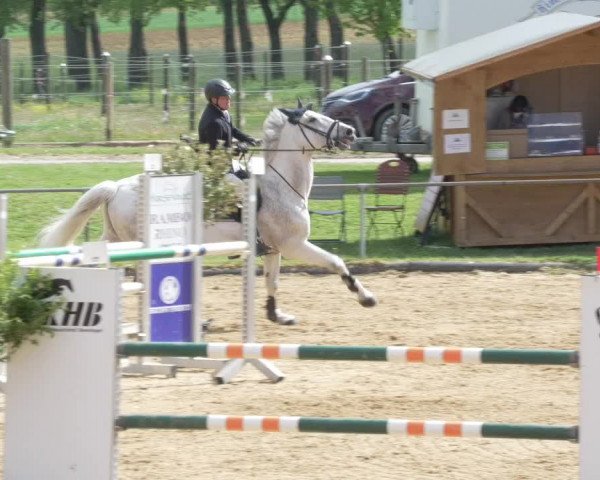Reitturnier Zoltingen/Schw. 2021