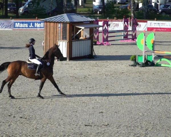 Reitturnier Westergellersen 2021