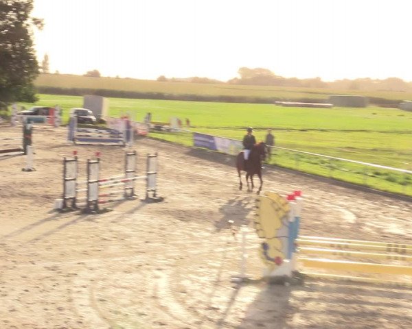 Springreitturnier Hohburg 2021