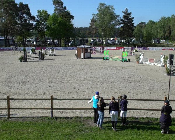 Reitturnier Westergellersen 2021