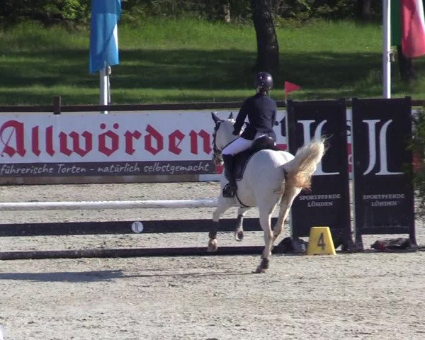 Reitturnier Westergellersen 2021