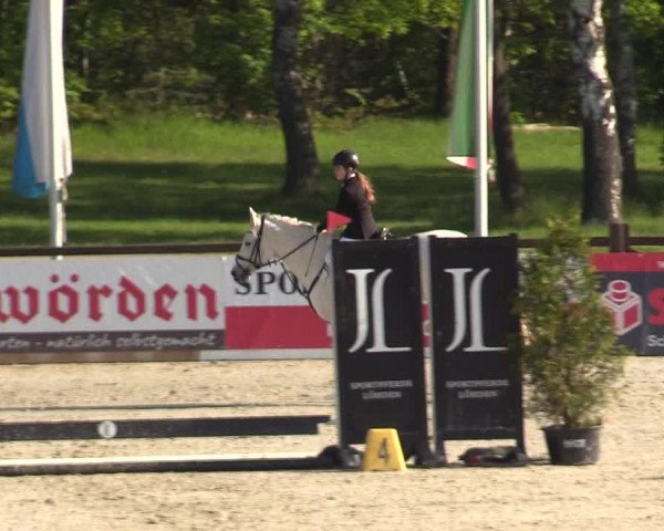 Reitturnier Westergellersen 2021