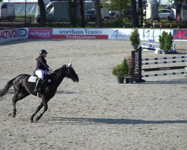 Reitturnier Westergellersen 2021