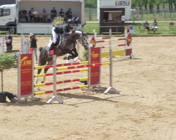 Reitturnier Zoltingen/Schw. 2021