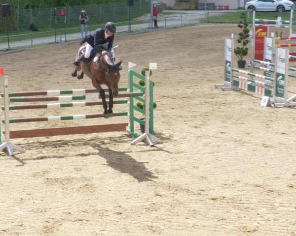 Reitturnier Zoltingen/Schw. 2021
