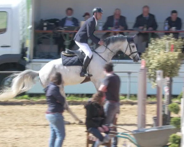 Reitturnier Zoltingen/Schw. 2021