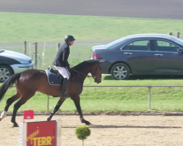 Reitturnier Zoltingen/Schw. 2021