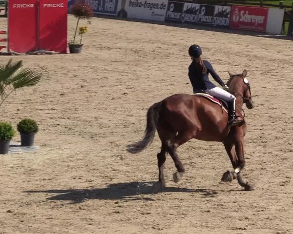 Reitturnier Westergellersen 2021
