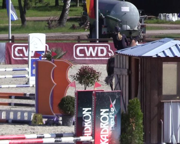 Reitturnier Westergellersen 2021