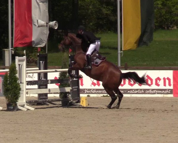 Reitturnier Westergellersen 2021