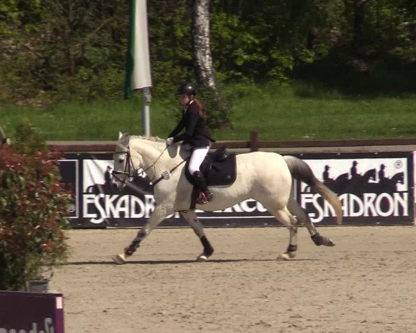 Reitturnier Westergellersen 2021