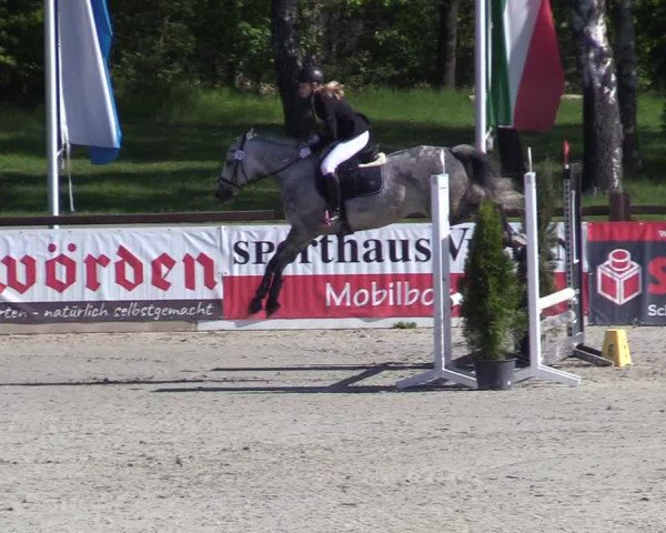 Reitturnier Westergellersen 2021