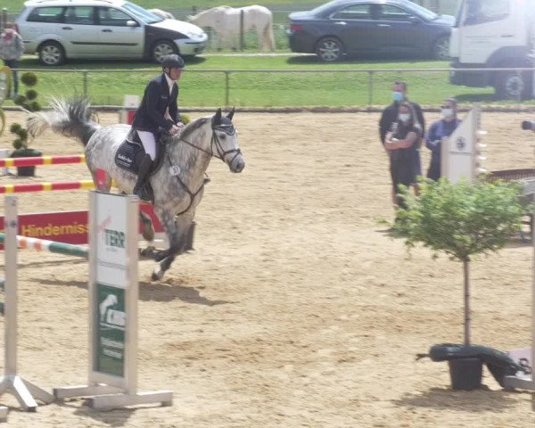Reitturnier Zoltingen/Schw. 2021