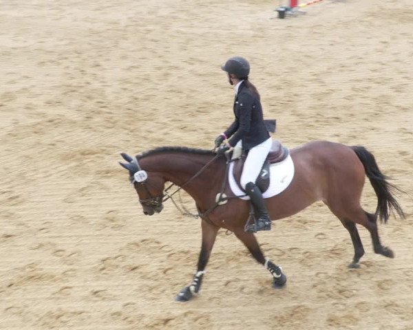 Reitturnier Zoltingen/Schw. 2021