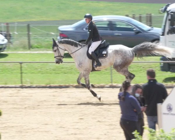 Reitturnier Zoltingen/Schw. 2021