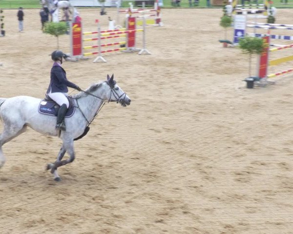 Reitturnier Zoltingen/Schw. 2021