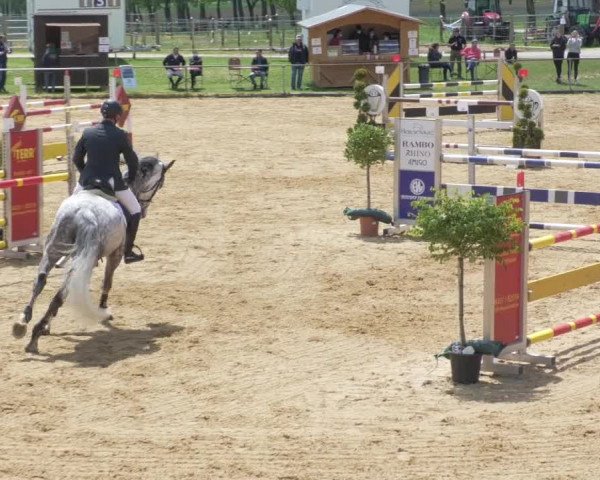 Reitturnier Zoltingen/Schw. 2021
