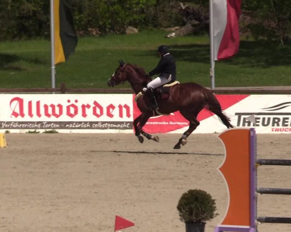 Reitturnier Westergellersen 2021