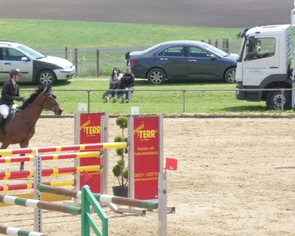 Reitturnier Zoltingen/Schw. 2021