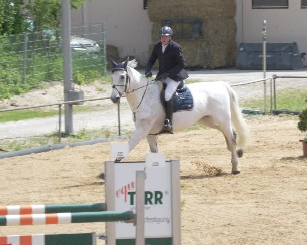Reitturnier Zoltingen/Schw. 2021